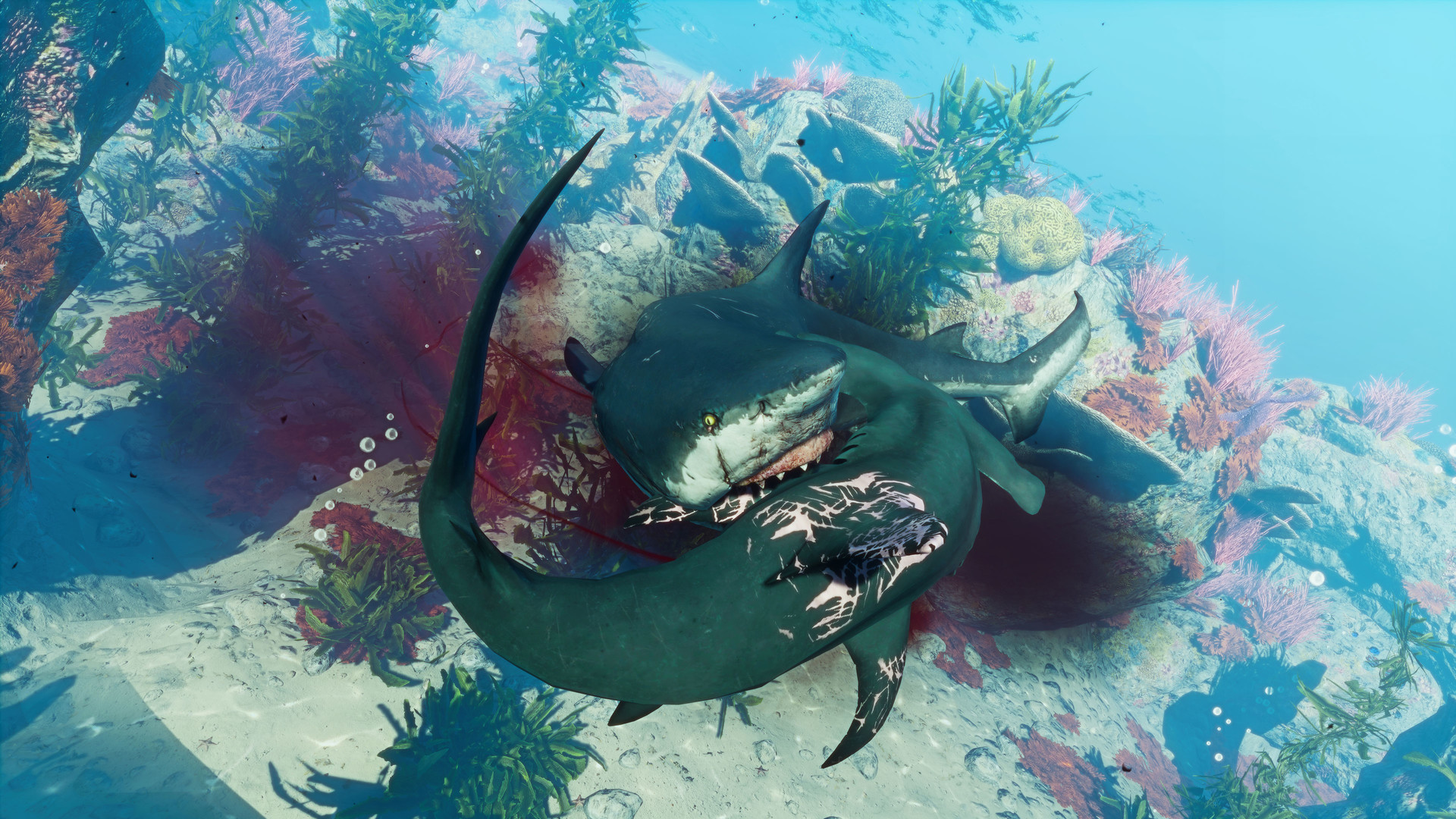 1月PS+会免游戏《食人鲨》确认DLC正在开发中