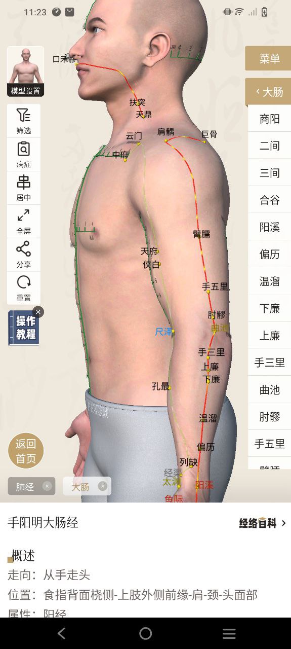 中济经络穴位